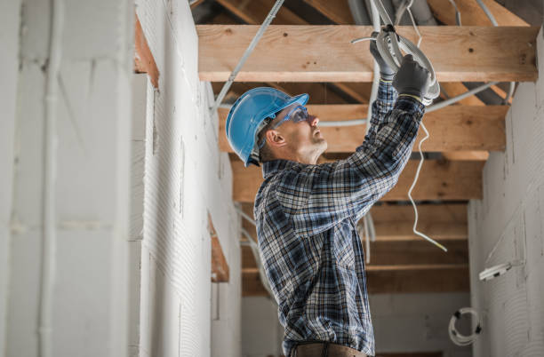 Best Electric Panel Repair  in Salamanca, NY