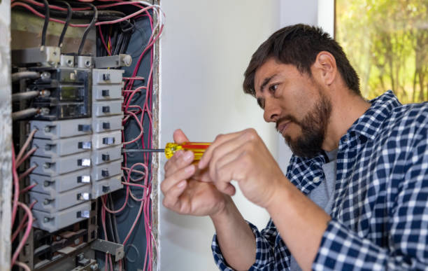 Best Ceiling Fan Installation Electrician  in Salamanca, NY